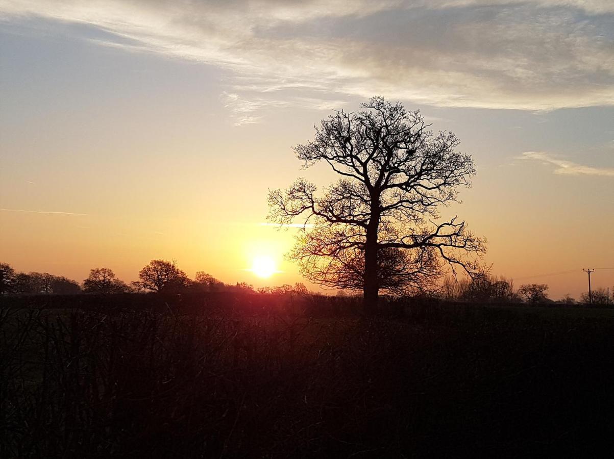 Foxes Field B&B Aston Nantwich Wrenbury Esterno foto