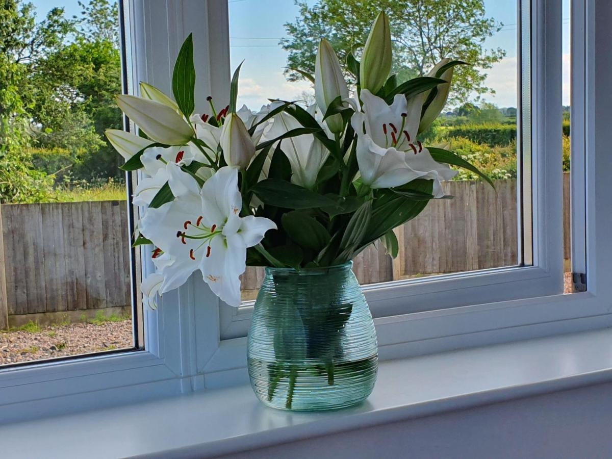 Foxes Field B&B Aston Nantwich Wrenbury Esterno foto